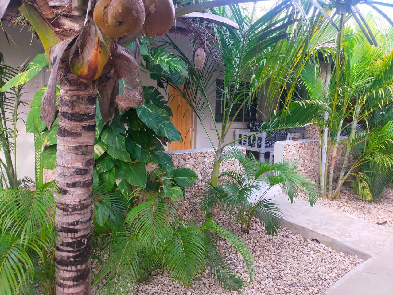 Arica Palm Hotel Gallery Image